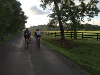 Riding bicycles on Jarmans Gap Road