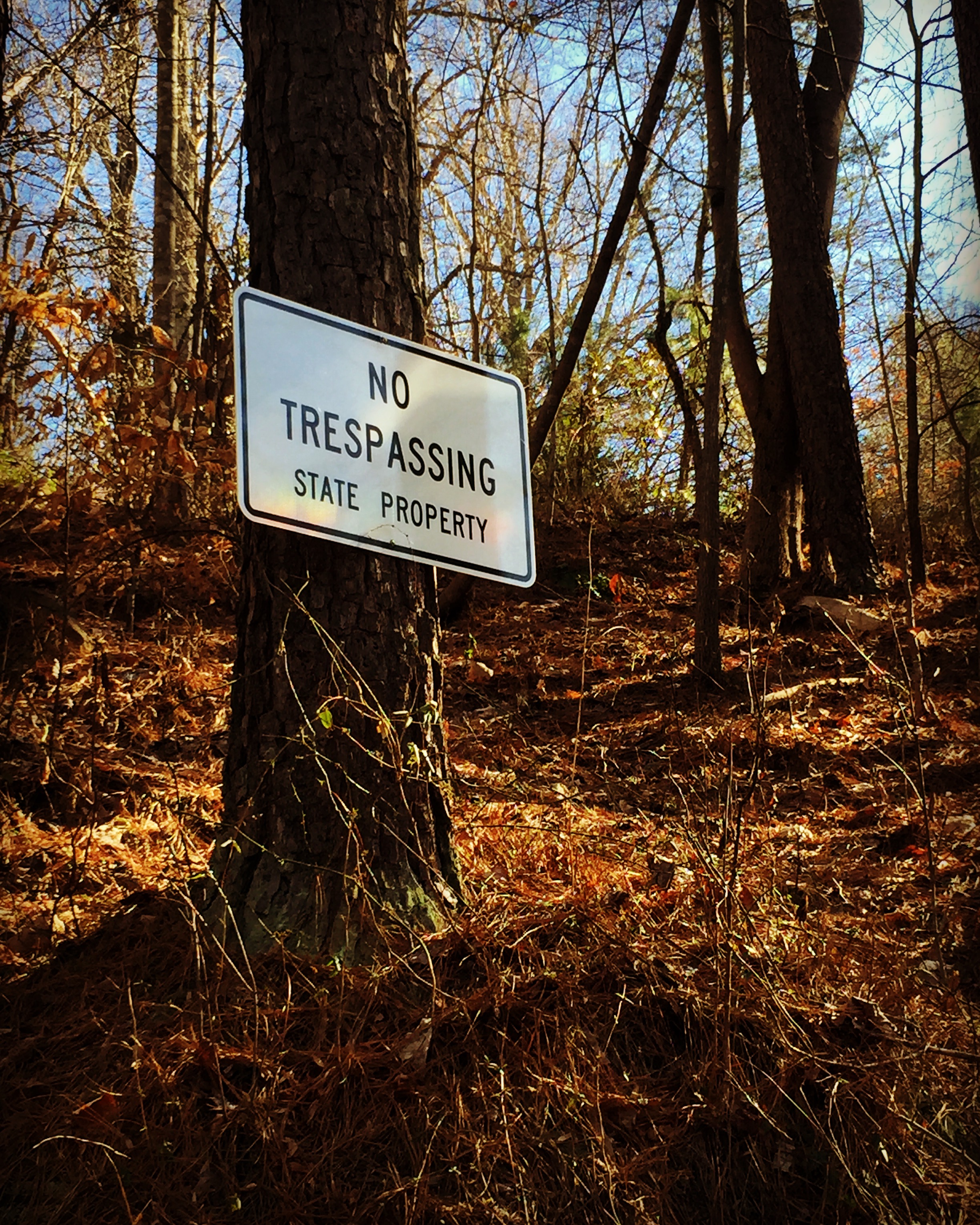 Entrance to one of the VDOT-owned homes in Colthurst