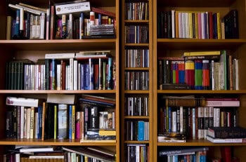 Thanks to netzanette on flickr for the photo