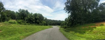 Trees in Foxchase Landing in Crozet