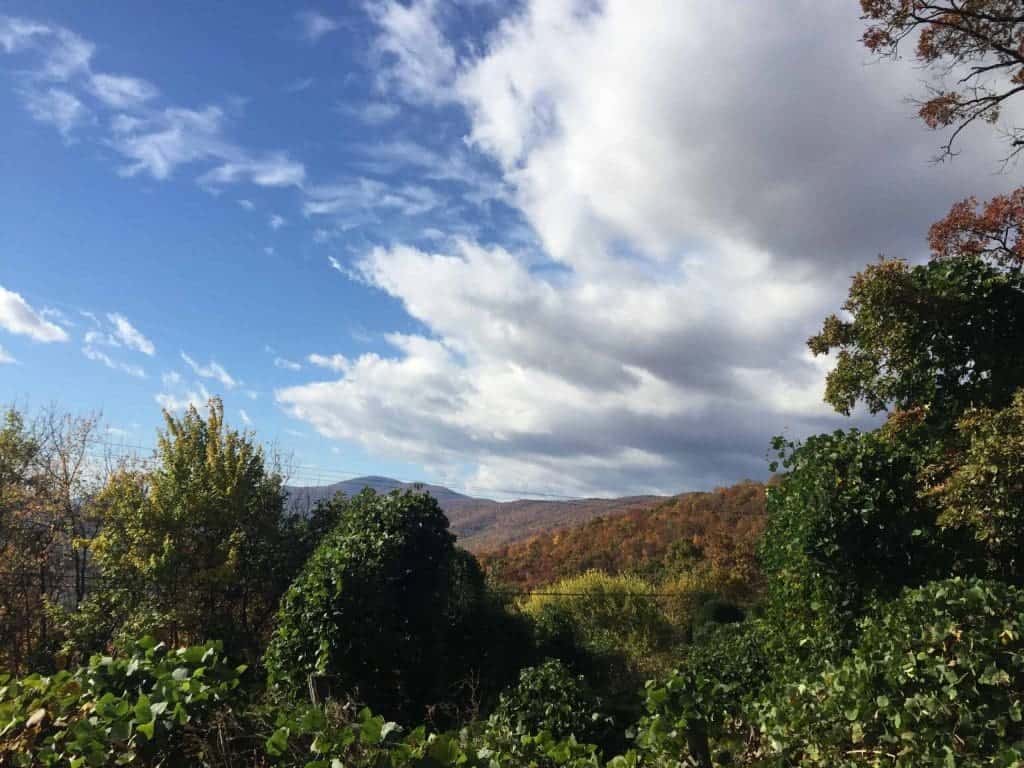 A Few Charlottesville Area Hikes for Kids