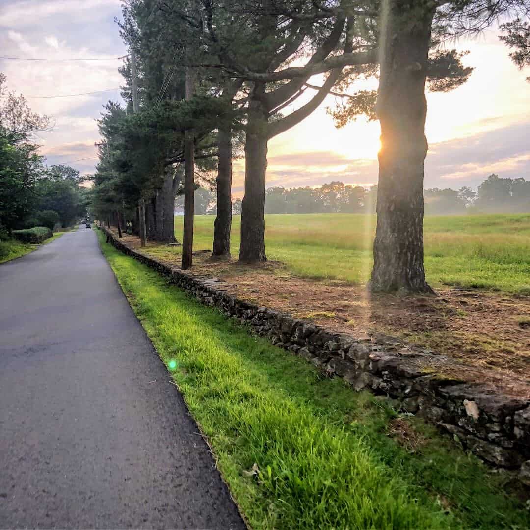 Ortman in the morning