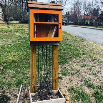 Little Free Belmont Library