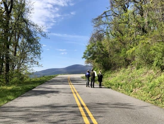 Blue Ridge Parkway overrun by pedestrians