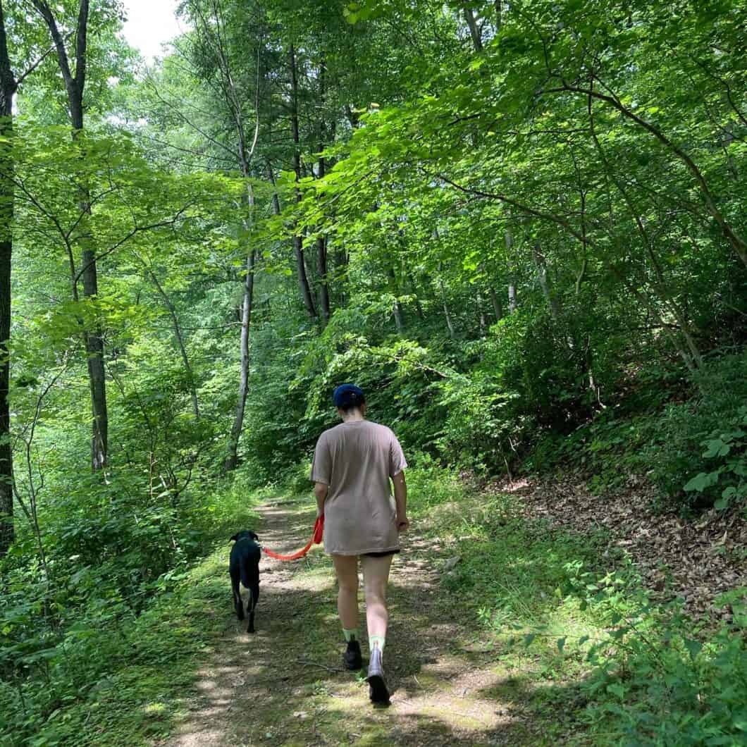 What's the path forward?