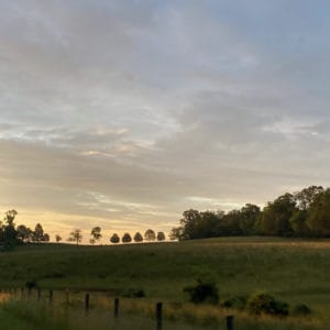 Plank Road. #FromtheBicycle