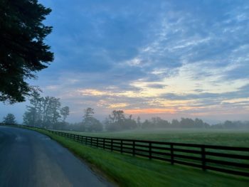 Misty morning on Millington