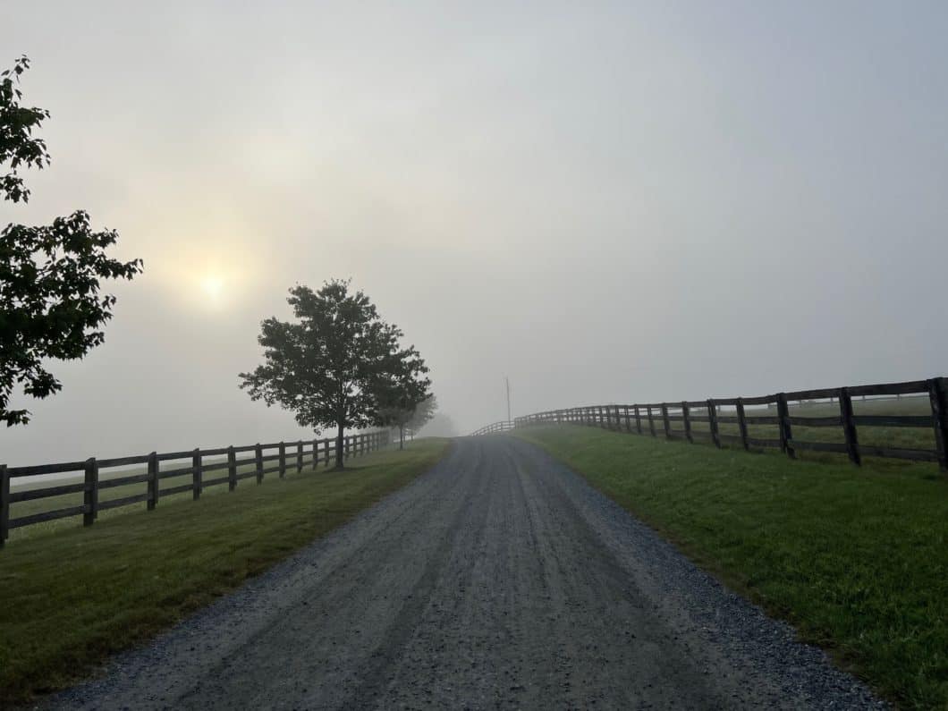 Gravel road at sunrise with tree