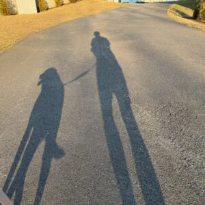 Shadows walking my dog