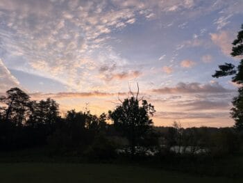 IMG_9047